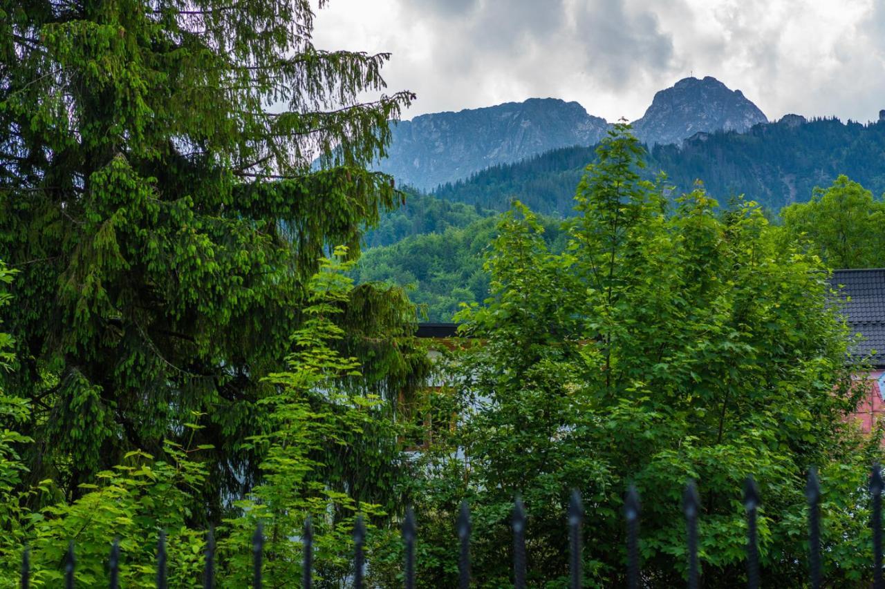 Pokoje Z Widokiem Na Gory I Prywatny Domek Z Zadaszona Altana - Grillem I Ogniskiem. ザコパネ エクステリア 写真