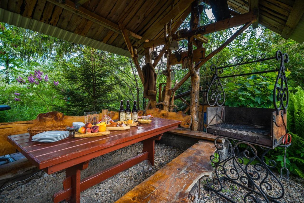 Pokoje Z Widokiem Na Gory I Prywatny Domek Z Zadaszona Altana - Grillem I Ogniskiem. ザコパネ エクステリア 写真