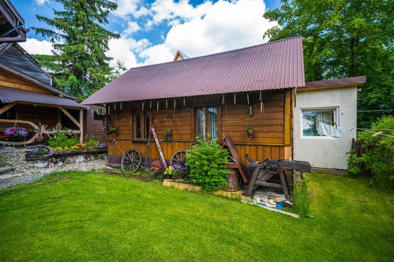 Pokoje Z Widokiem Na Gory I Prywatny Domek Z Zadaszona Altana - Grillem I Ogniskiem. ザコパネ エクステリア 写真