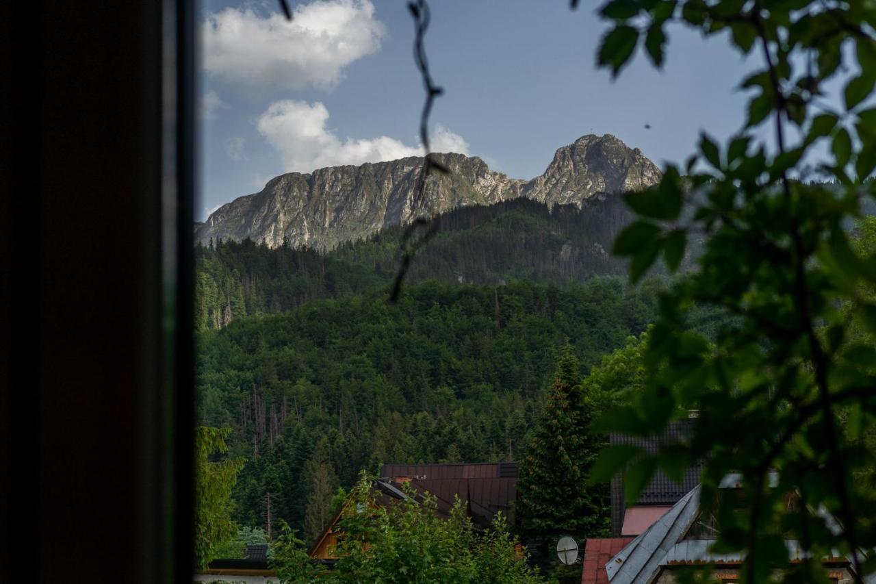 Pokoje Z Widokiem Na Gory I Prywatny Domek Z Zadaszona Altana - Grillem I Ogniskiem. ザコパネ エクステリア 写真