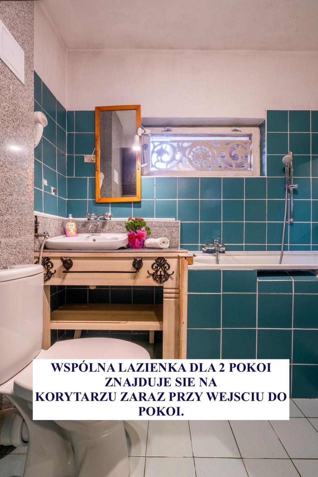 Pokoje Z Widokiem Na Gory I Prywatny Domek Z Zadaszona Altana - Grillem I Ogniskiem. ザコパネ エクステリア 写真